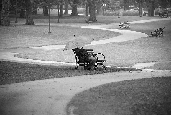 Deering Oaks Bench