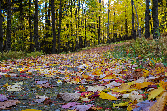 Autumn in Stowe, Vermont