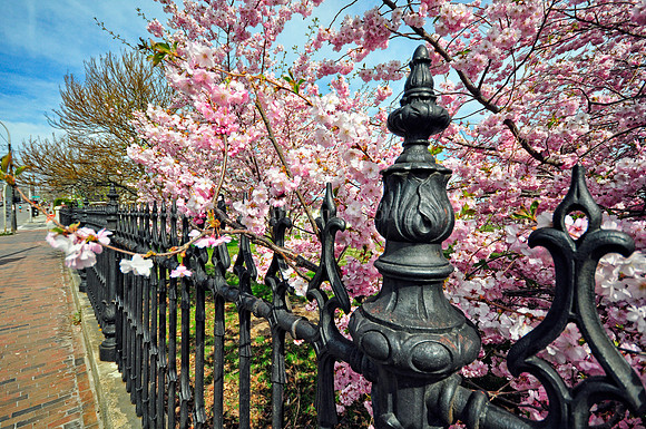 Eastern Cemetery Spring 2