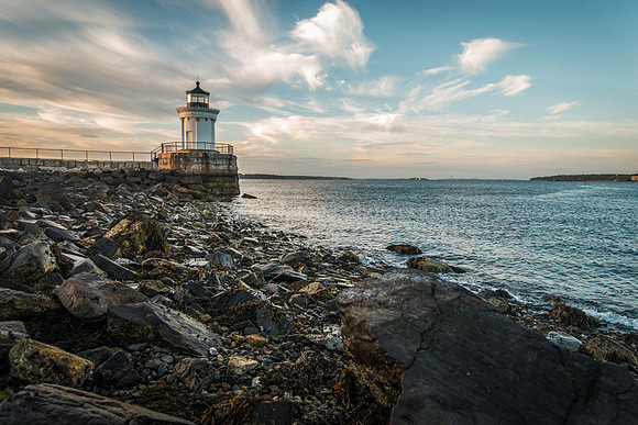 Bug Light