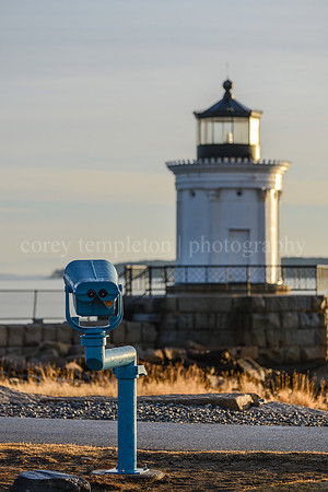 Bug Light Portrait