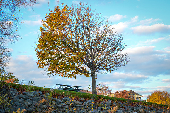 Change of Seasons
