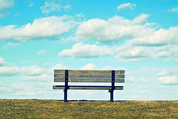 The Bench