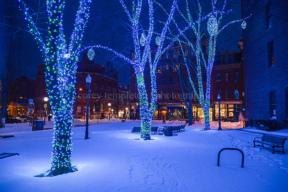 Tommy's Park Lights