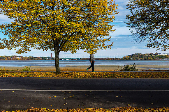 Back Cove, Autumn 2014