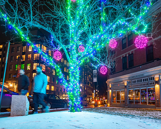 Winter Lights in Longfellow Square After First Snow