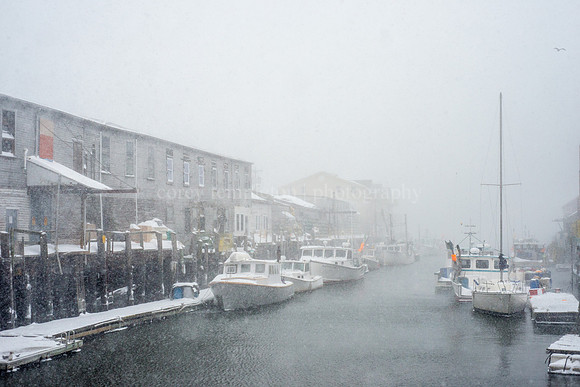 January 2015 Blizzard - Custom House Wharf