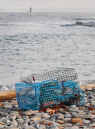 Lobster Trap
