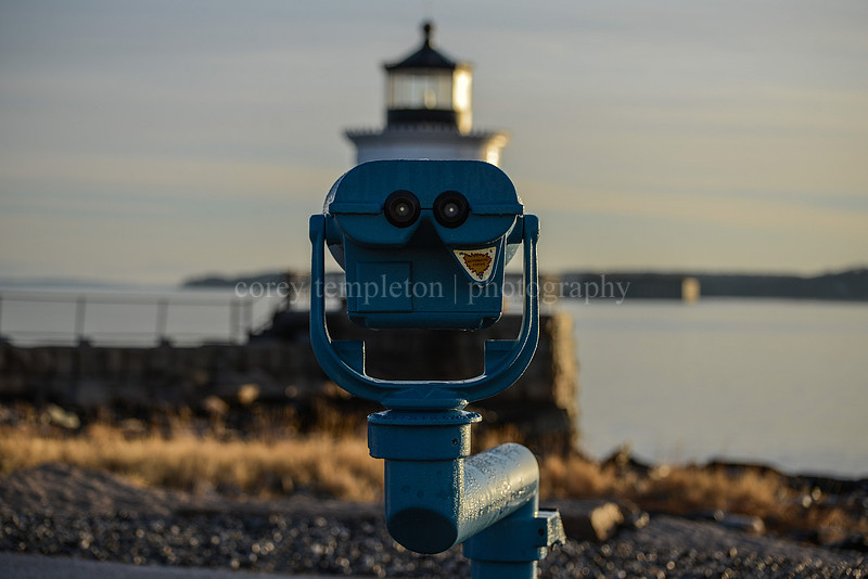 Bug Light View