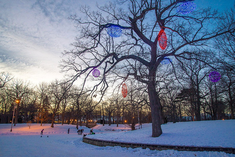 Skating at Deering Oaks