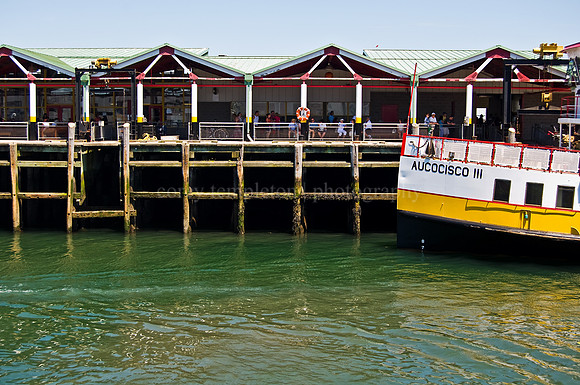 Aucocisco III