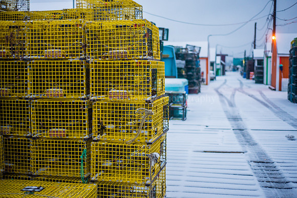 Widgery Wharf Lobster Traps