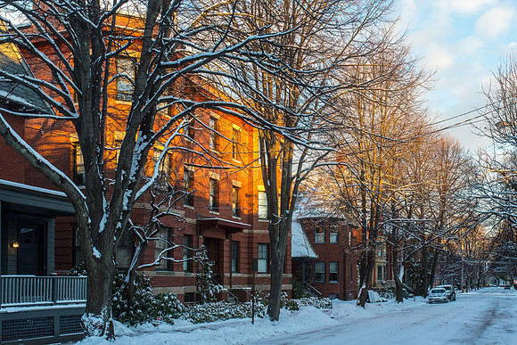 West End Street - Snow