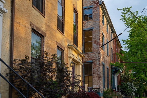Afternoon Light on Danforth Street Town Houses