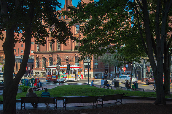 Tommy's Park in the Old Port, Summer