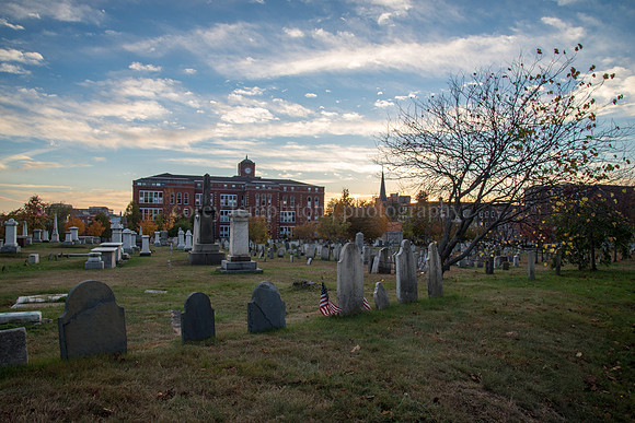 Eastern Cemetery, Autumn 2014