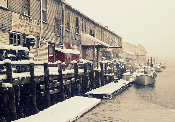 Harbor Fish Market