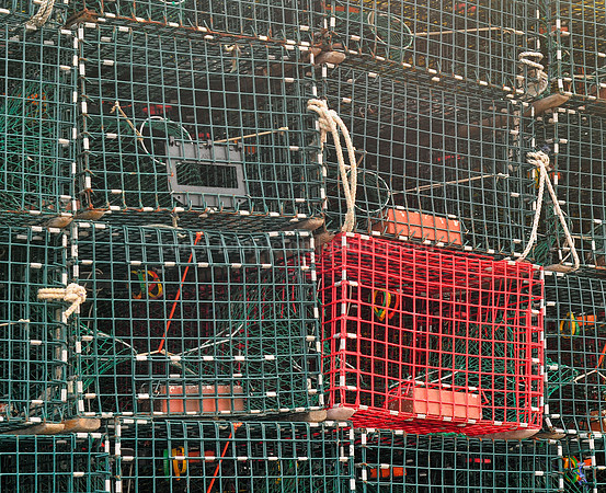 Lobster  Traps