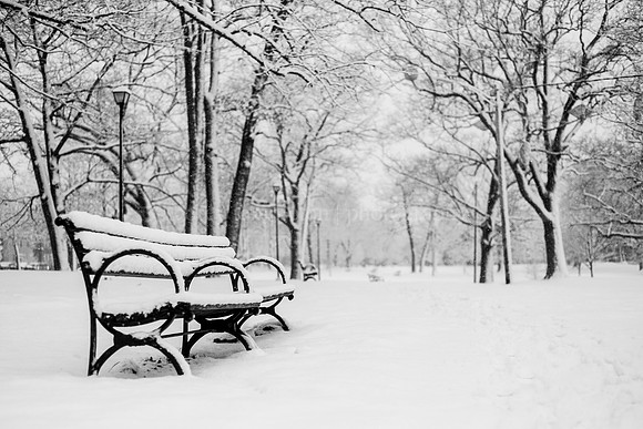 Deering Oaks Winter Bench